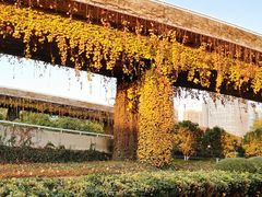 -悦江新远影城IMAX