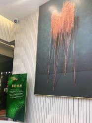 -木北护肤造型