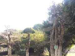 -汉水公园