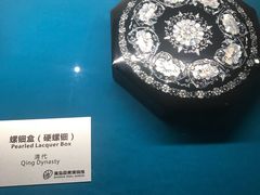 -青岛贝壳博物馆