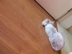 -第一食品(中环百联店)