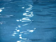 -蓝海豚游泳俱乐部(徐汇东安路店)