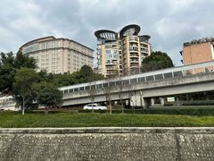 -神仙树公园