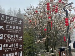 -曾福兴