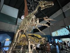 -湖南省地质博物馆