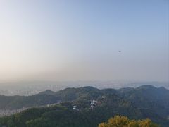 -大金鹰园