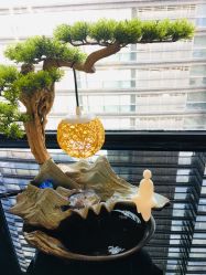 -溢美古法抗衰