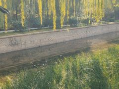 -元大都城垣遗址公园