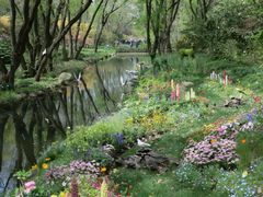 -上海共青森林公园