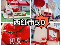 -沈阳铁西万象汇