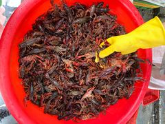 -青石桥市场北1-27号