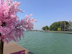 -水上明月·湖景餐厅