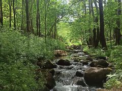 -玉渡山自然风景区