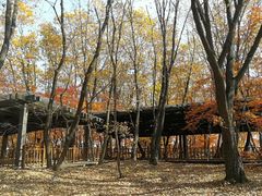 -五女山景区