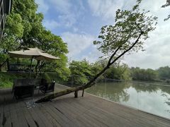 -木守西溪溪隐餐厅