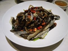 凉拌鱼皮-广东道至正餐厅(区庄店)