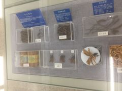 -北京中医药大学-中医药博物馆