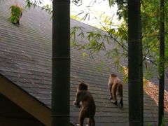 -苏州环秀晓筑养生度假村