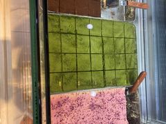 -麦雪尔甜品·生日蛋糕(新街口旗舰店)