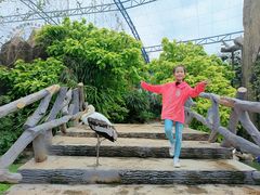 -芽庄珍珠岛游乐园