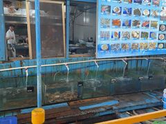 -蓝湾碧波·老字号·疍家非遗海上餐厅