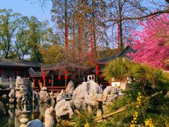 -东湖落雁景区