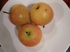 -贝勒爷·酥不腻烤鸭