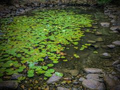 -苏州河梦清园环保主题公园