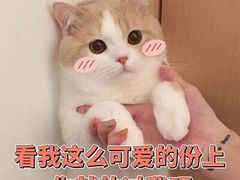 -海底捞火锅(龙湖北京大兴天街店)