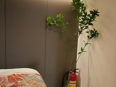-小仙女采耳·按摩·SPA(深圳旗舰店)