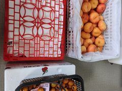 -西郊国际农产品交易中心