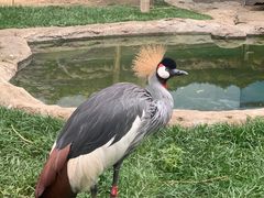 -成都动物园