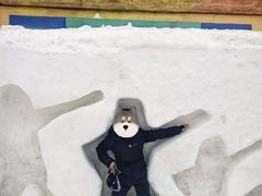 -广州热雪奇迹