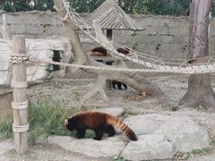 -上海野生动物园