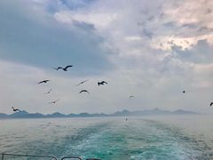 -海驴岛(荣成市)
