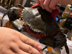 -喜记避风塘炒辣蟹(旗舰店)