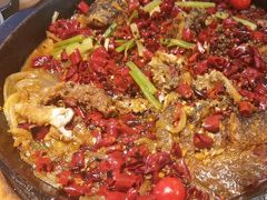 -老板恋上鱼(印象城店)