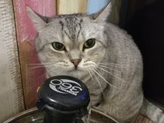 -小时光咖啡馆(开森度假森林店)