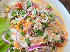 -Kat's Kitchen