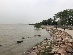 -福田红树林生态公园