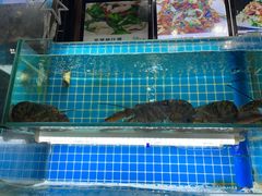 水产区-老东镇啤酒屋海鲜加工·蒸汽海鲜·海鲜烧烤(台东店)