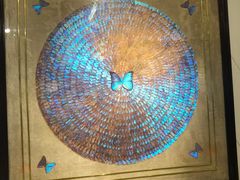 -上海昆虫博物馆