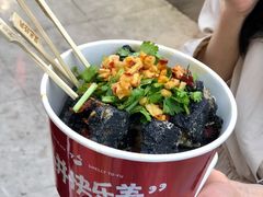 长沙臭豆腐-黑色经典臭豆腐·湖南特产(坡子街店)
