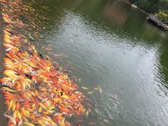 -广州市帽峰山景区