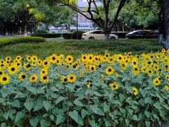 -浙江大学(玉泉校区)