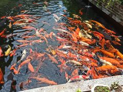-新灿记大酒楼