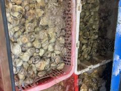 -坛南湾阿强农家乐.海鲜大排档老字号(福州地标美食店)