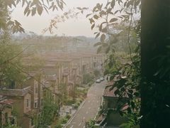 -三水森林公园