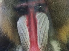 -宁波野生动物园