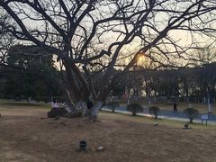 -南京市江宁方山